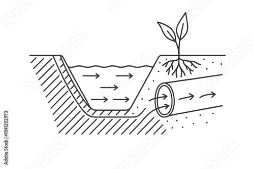 Water flow diagram showing plant roots and soil layers with underground pipe system for irrigation and water management