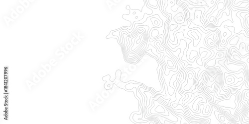 Abstract background with a wave grid map and topography map and seamless pattern with lines White wave paper curved reliefs abstract background, Abstract topographic contours map background.	