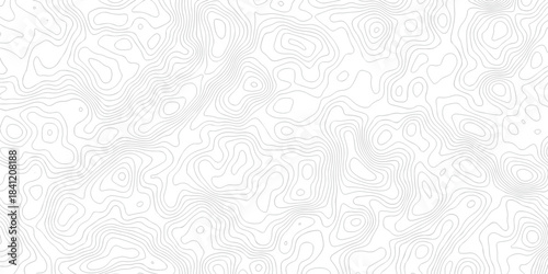 Abstract background with a wave grid map and topography map and seamless pattern with lines White wave paper curved reliefs abstract background, Abstract topographic contours map background.	