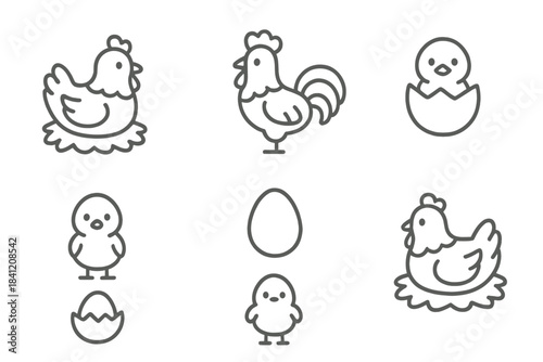 Different forms of chickens and eggs in simple style with various poses and activities in a clear arrangement on a white background