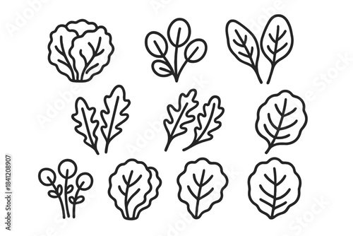 Sketches of various green leafy vegetables and herbs arranged in two rows on a plain background