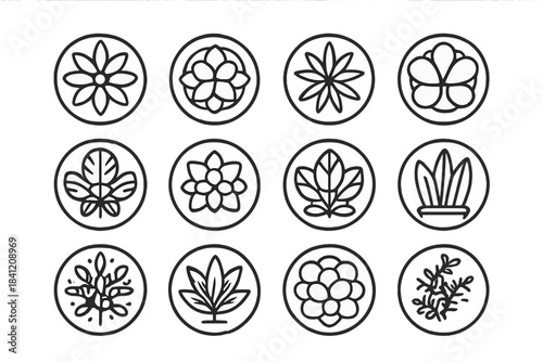 Different types of line art drawings of flowers and leaves arranged in a grid pattern on a white background