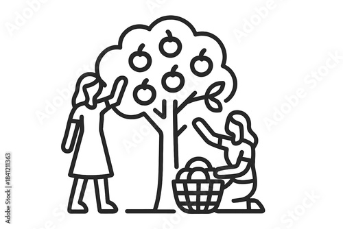 Two people harvesting apples from a fruit tree into a wicker basket in autumn