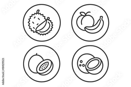 Minimalist line art icons of tropical fruits including durian, banana, papaya, and coconut