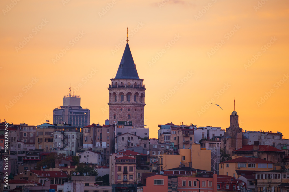 Fototapeta premium The Galata Tower and seagulls at dawn. Magnificent cityscape of Istanbul in the morning.