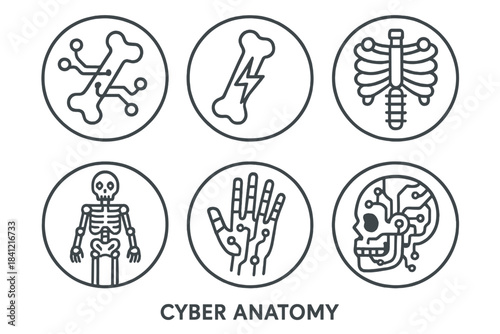 Cyber Anatomy Icons. Line style round vector icons of Cyber Anatomy: neural bone, electric marrow, mechanical rib, glowing