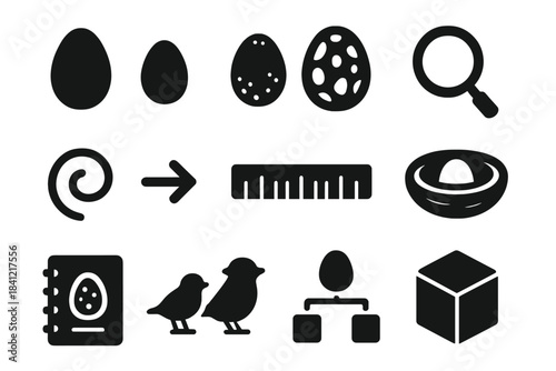 Comparative Egg Icons. Solid style icons of comparative oology: different egg shapes, sizes, patterns, magnifying glass, spiral,
