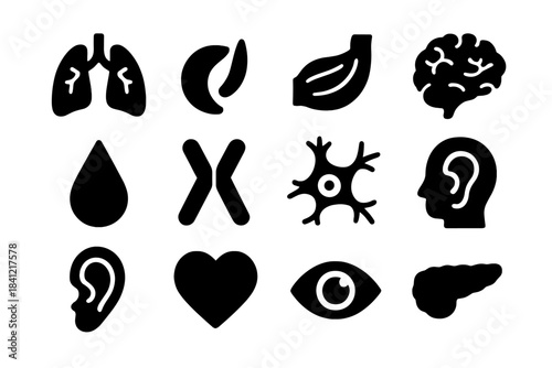 Genetic Disease Icons. Solid style icons of Genetic Diseases: cystic fibrosis lungs, sickle cell red blood cell, muscular
