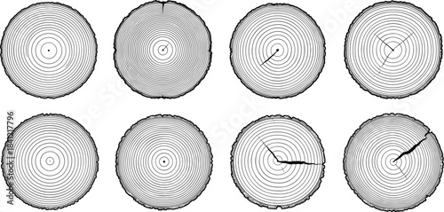 Set of tree trunk cross-sections with detailed wood grain rings, natural timber texture illustrations for forestry, ecology, growth study and rustic design projects