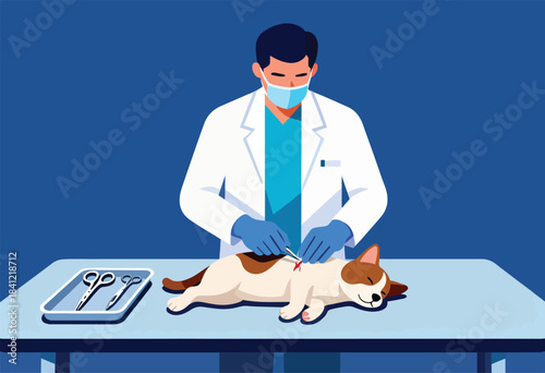 A veterinary illustration shows a veterinarian performing a procedure on a cat lying on a table with surgical tools