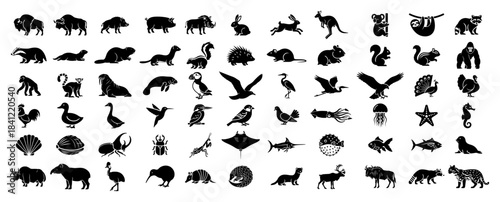 Big set of wild animal silhouettes including mammals birds insects and sea life vector black icon collection