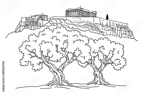 Acropolis of Athens hill and olive trees landscape vector illustration