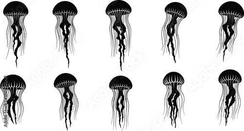 Collection of detailed jellyfish silhouettes with flowing tentacles, marine sea life illustration set for ocean artwork, aquatic design, education and creative projects