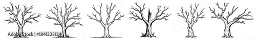 Set of bare and dead trees without leaves concept of winter nature and scary forest vector illustration