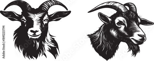 Two contrasting goat heads depicted in a detailed black and white illustration