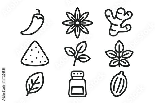 Detailed selection of common cooking spices and herbs such as chili, ginger, and star anise