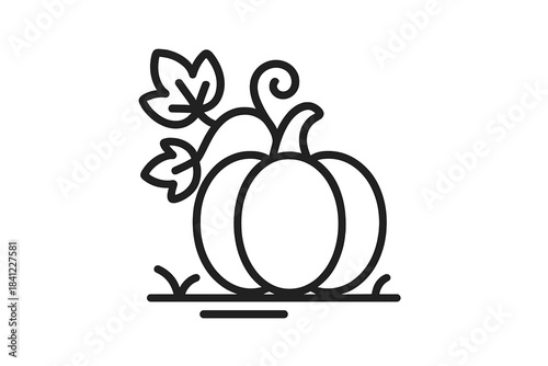 Pumpkin gourd growing on the ground with large leaves and a curly vine