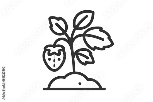 A detailed depiction of a strawberry plant featuring leaves and ripe fruit emerging from the soil