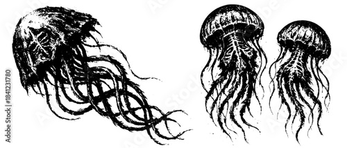 Vintage Jellyfish Collection in Xerography Halftone Style, Retro Marine Life Illustration on Transparent Background