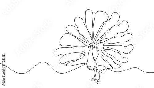 A peacock displaying its tail feathers in a continuous line. Single line drawing vector illustration. Editable stroke.