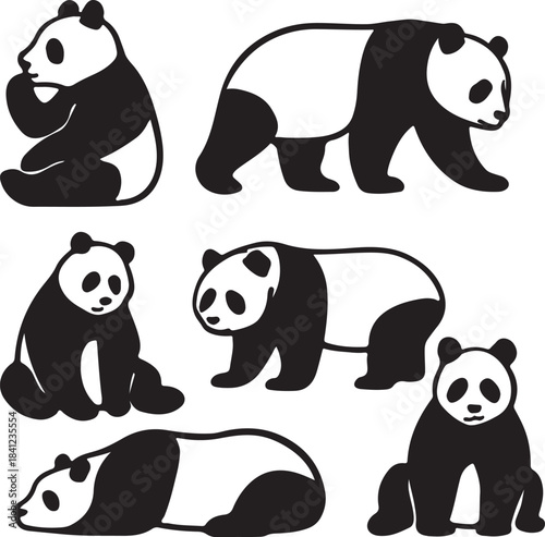 Giant Panda Bear Vector Illustration Set