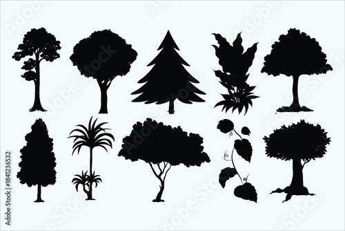 Tree silhouettes vector illustration. Collection of various tree shapes. Deciduous evergreen palm trees