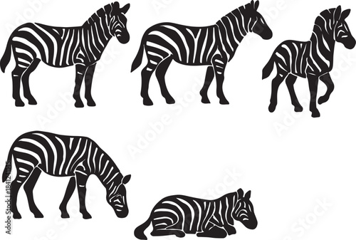 Black and White Zebra Vector Silhouette Set