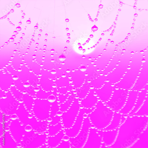 Spider Web with Dew at Vibrant Sunrise.eps