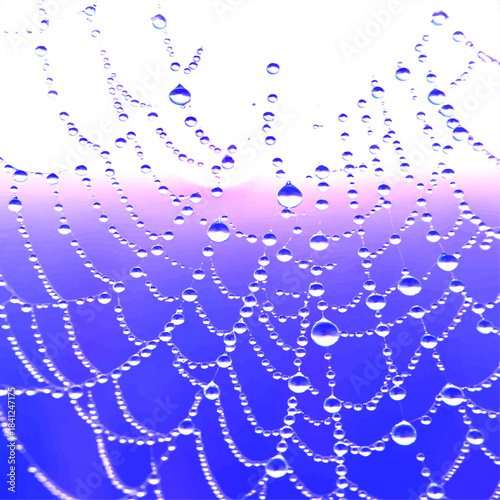 Spider Web with Dew Drops on Gradient Background