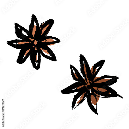 スターアニスの筆描きイラスト