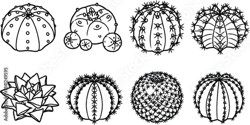 Collection of various cacti and succulents in line art style