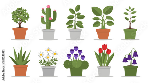 A collection of various potted house plants and flowers, including a tree, cactus, aloe, daisies, tulips, and bellflowers, in a flat vector illustration style.