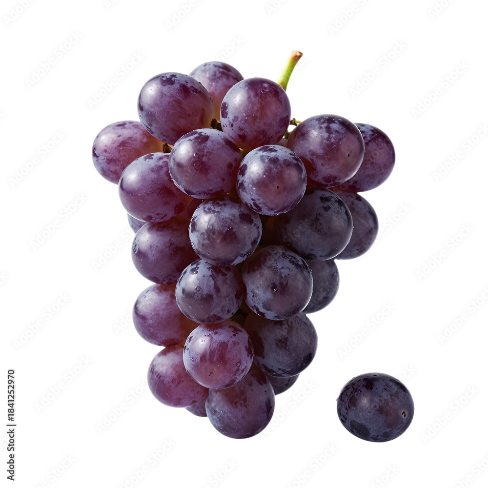 Fototapeta premium Fresh bunch of purple grapes with a single grape isolated