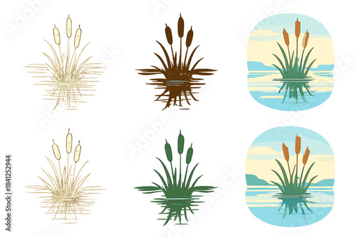 Cattails Reflecting Pond. Stone landing on final skip producing gentle splash and expanding ripple, quiet conclusion to kinetic