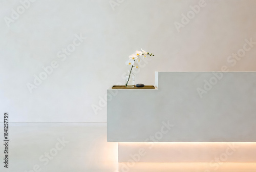 A sleek, minimalist reception area features a white desk, a delicate orchid in a glass vase, and gentle underglow lighting. Clean lines evoke calm, contemporary elegance perfect for upscale interiors 