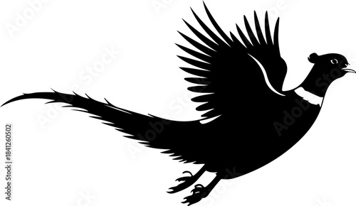 Flying pheasant bird silhouette vector illustration