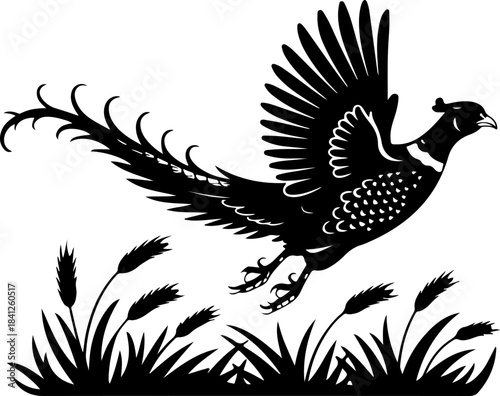 Flying pheasant bird silhouette vector illustration