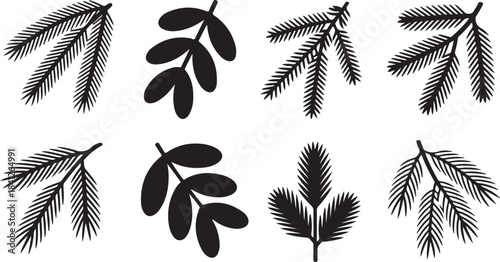 Collection of eight black silhouette botanical branches and leaves on a white background Keywords: branch, leaf, pine, fir, spruce, foliage, plant, nature, botanical, winter, christmas, evergreen