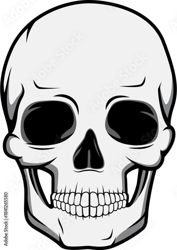 Stylized black and white human skull illustration featuring deep eye sockets and detailed teeth perfect for graphic design projects or edgy apparel concepts on transparent background