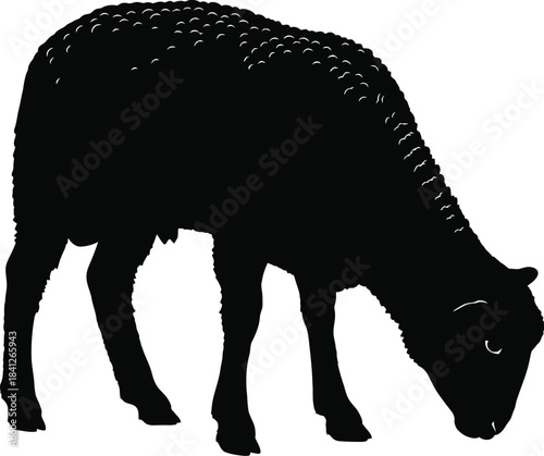 Grazing Sheep Farm Animal Silhouette Vector