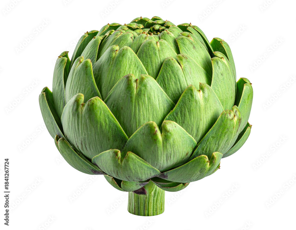 Fototapeta premium Fresh Whole Green Globe Artichoke, isolated on transparent background”