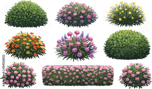 Flowering Bush and Hedge Collection with Colorful Blossoms, Ornamental Shapes, and Garden Design Elements for Landscaping, Botanical, and Seasonal Use