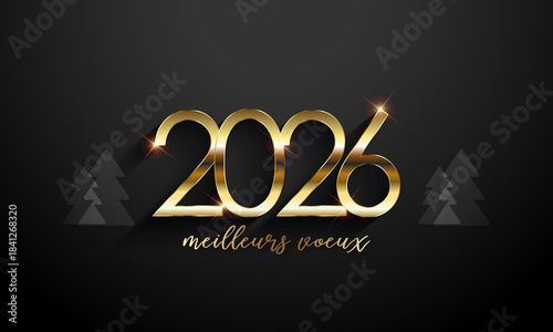 meilleurs voeux, bonne annee, 2026