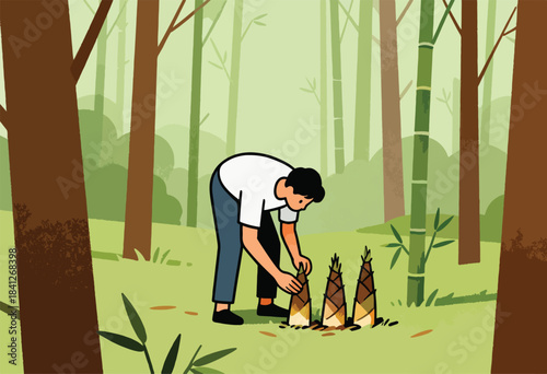 Person in bamboo forest harvesting shoots