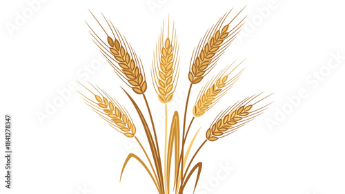 Golden wheat stalks arranged together on a white background in a simple elegant design