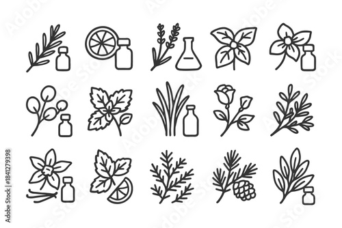 Essential oils and herbs: bottles, leaves, citrus, and floral elements in black line art.