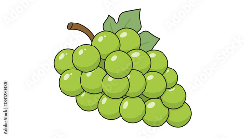 A vibrant cluster of green grapes with leaves on a stem, perfect for fruit or food illustrations