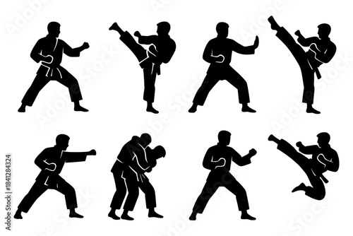 Silhouette martial arts sparring: dynamic poses of two male fighters practicing high kicks and defensive stances.