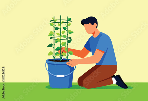 A person kneels tending to a young plant in a blue bucket with a trellis