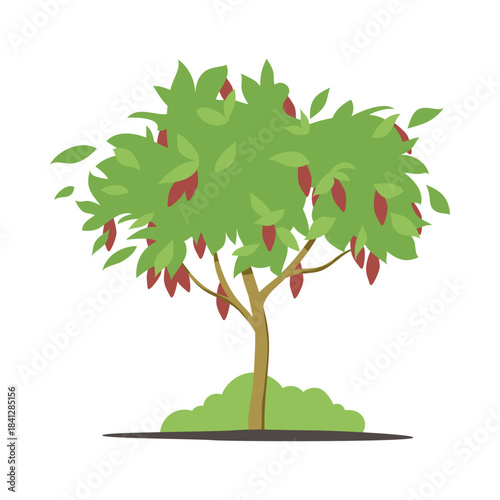 Cacao tree with ripe pods on white background, perfect for chocolate production concepts, isolated vector illustration